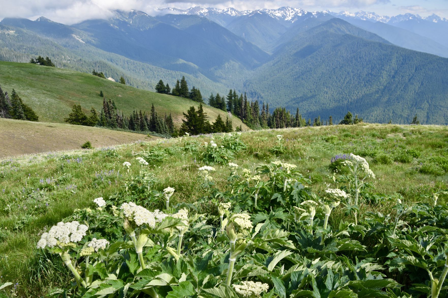 Travel story on Washington state